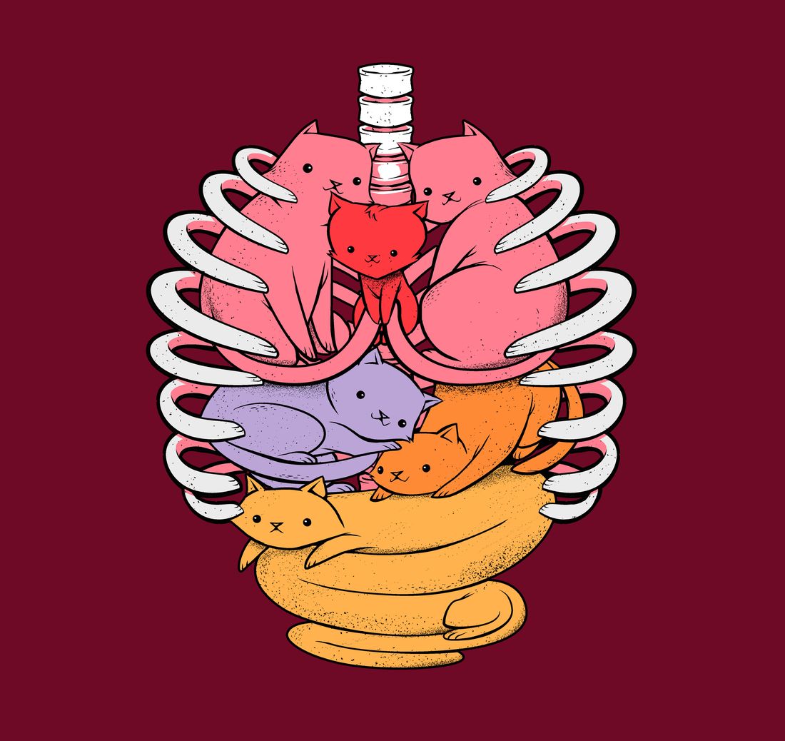 Anatomicat artwork