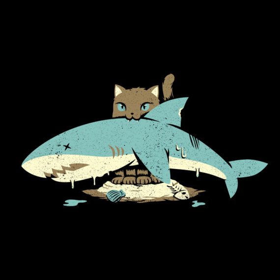 Cat Shark Funny Cat