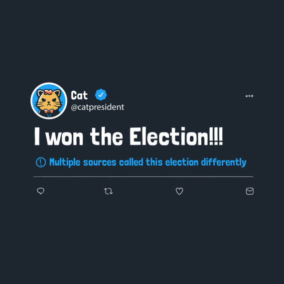 Cat Won The Presidential Run Disputed Tweet