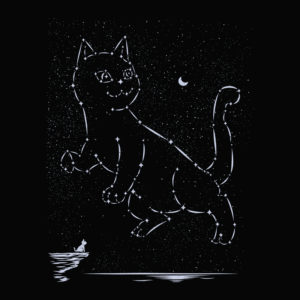 Cat Constellation